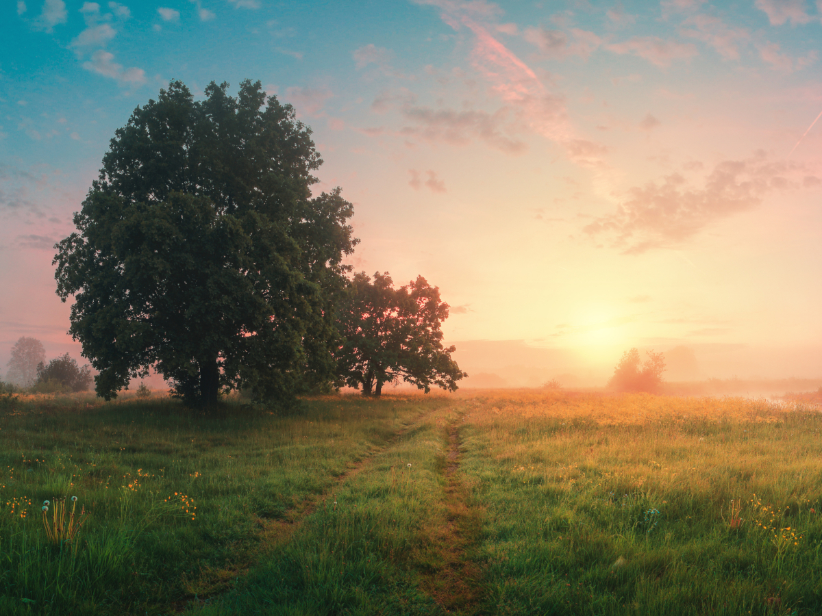 5ed271324eb08f961d70f7030ff87b0d