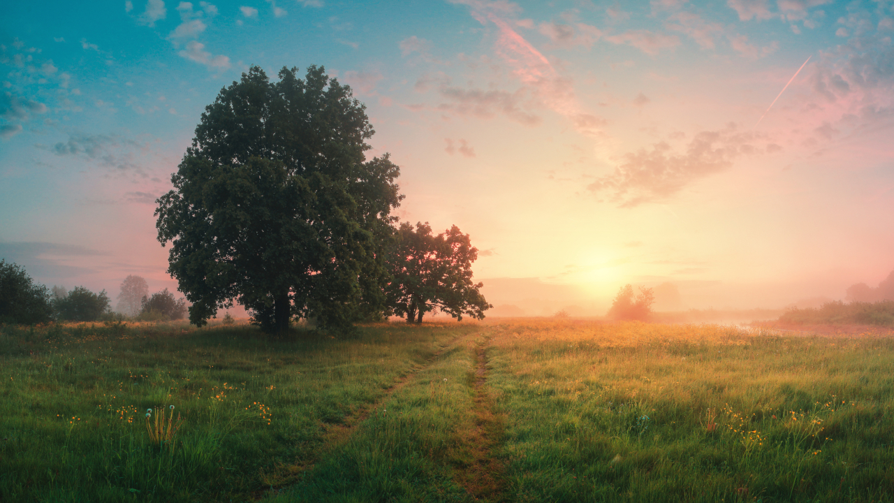 5ed271324eb08f961d70f7030ff87b0d